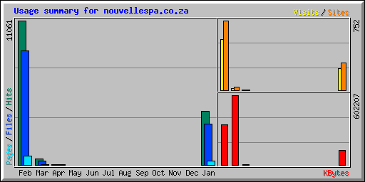 Usage summary for nouvellespa.co.za